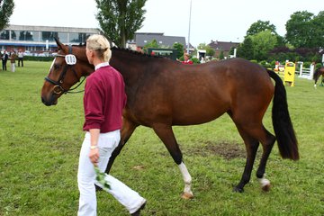 Bild 139 - Elmshorn am 9.6.10